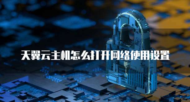 天翼云主机怎么打开网络使用设置