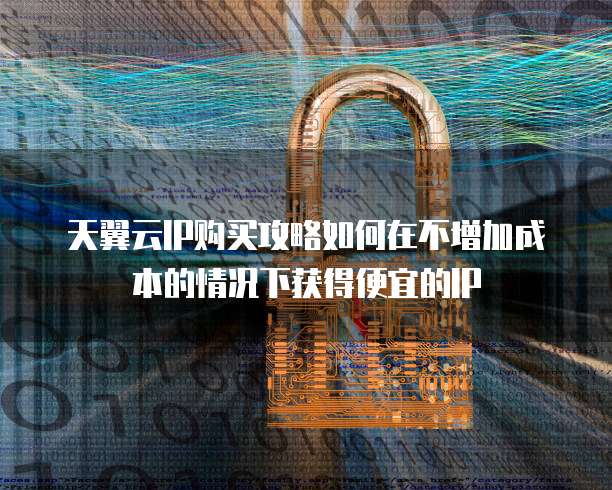 天翼云IP购买攻略如何在不增加成本的情况下获得便宜的IP