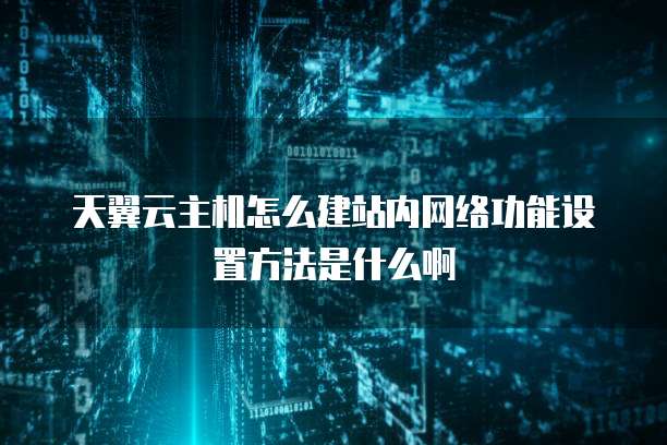 天翼云主机怎么建站内网络功能设置方法是什么啊