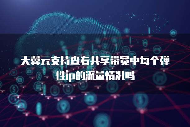 天翼云支持查看共享带宽中每个弹性ip的流量情况吗