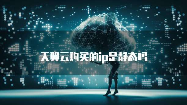 天翼云购买的ip是静态吗
