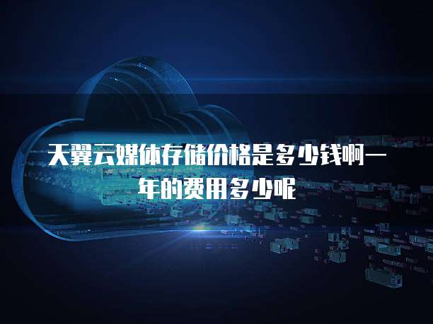 天翼云媒体存储价格是多少钱啊一年的费用多少呢