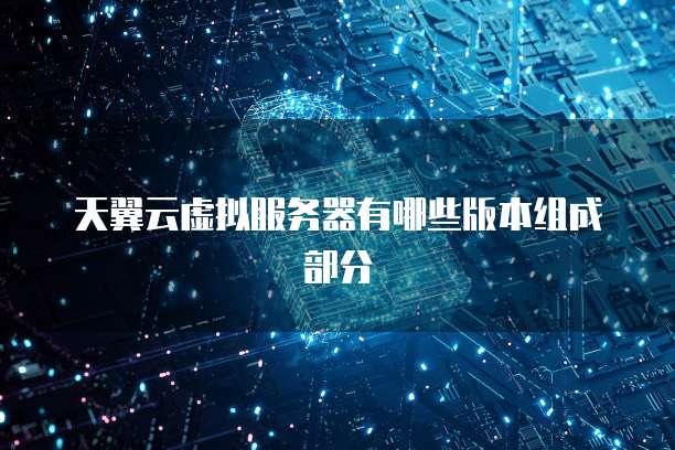 天翼云虚拟服务器有哪些版本组成部分
