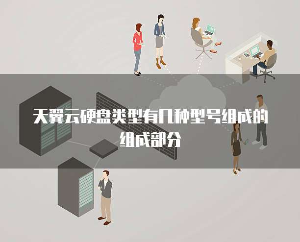 天翼云硬盘类型有几种型号组成的组成部分