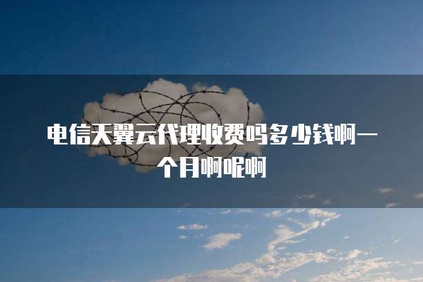 电信天翼云代理收费吗多少钱啊一个月啊呢啊