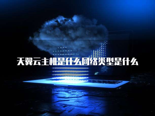 天翼云主机是什么网络类型是什么