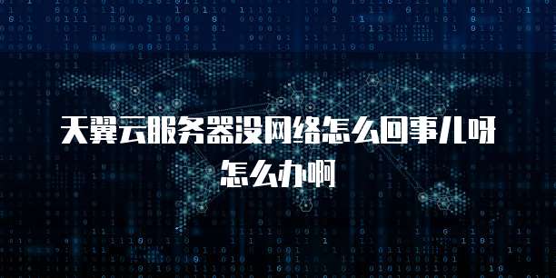 天翼云服务器没网络怎么回事儿呀怎么办啊