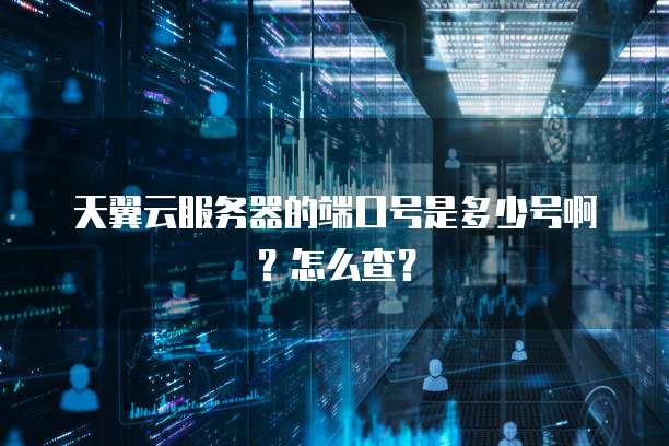 天翼云服务器的端口号是多少号啊?怎么查?