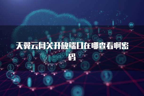 天翼云网关开放端口在哪查看啊密码