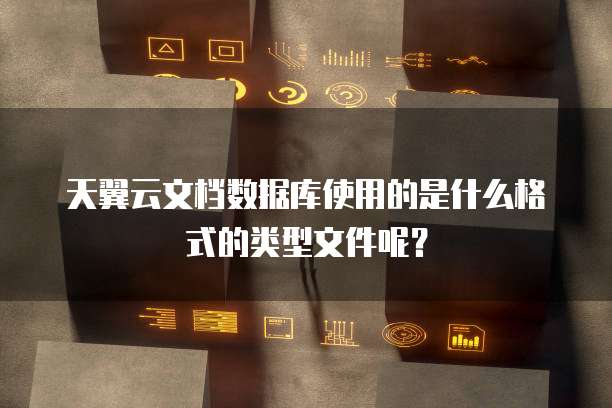 天翼云文档数据库使用的是什么格式的类型文件呢?