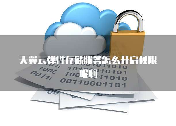 天翼云弹性存储服务怎么开启权限呢啊