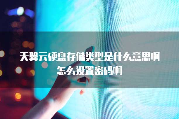 天翼云硬盘存储类型是什么意思啊怎么设置密码啊