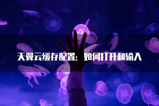 天翼云缓存配置:如何打开和输入