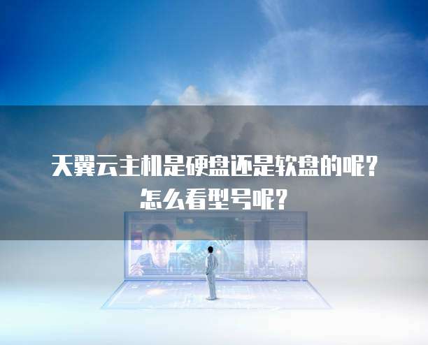 天翼云主机是硬盘还是软盘的呢?怎么看型号呢?