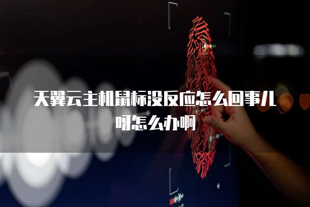 天翼云主机鼠标没反应怎么回事儿呀怎么办啊