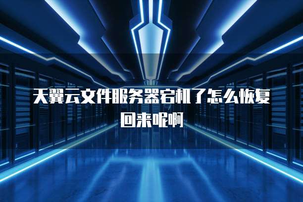天翼云文件服务器宕机了怎么恢复回来呢啊