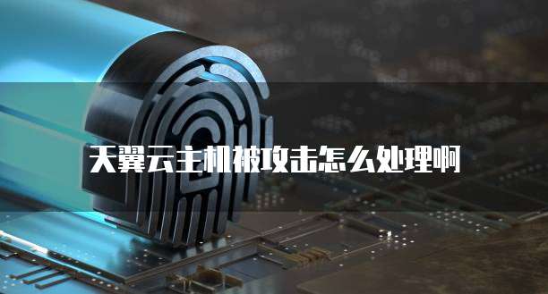 天翼云主机被攻击怎么处理啊