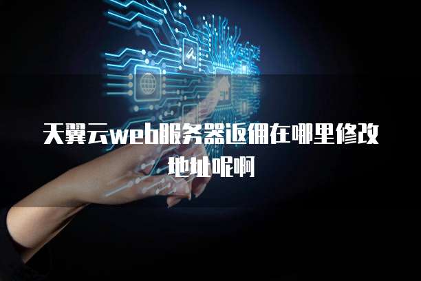 天翼云web服务器返佣在哪里修改地址呢啊