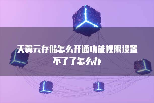 天翼云存储怎么开通功能权限设置不了了怎么办