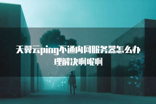天翼云ping不通内网服务器怎么办理解决啊呢啊