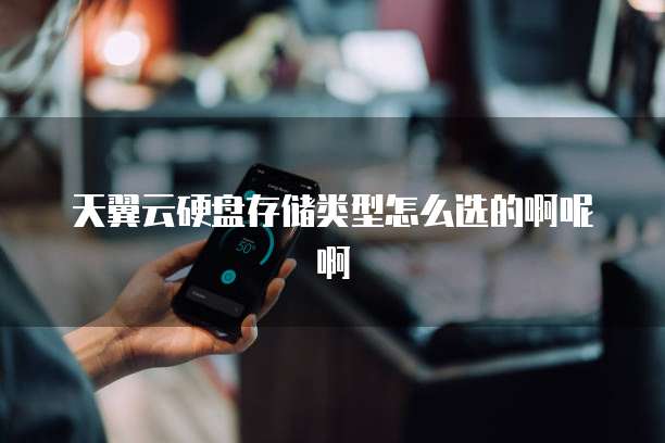 天翼云硬盘存储类型怎么选的啊呢啊