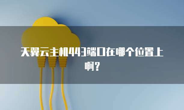 天翼云主机443端口在哪个位置上啊?