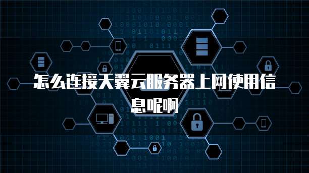 怎么连接天翼云服务器上网使用信息呢啊
