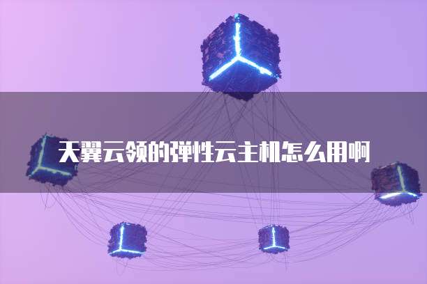天翼云领的弹性云主机怎么用啊