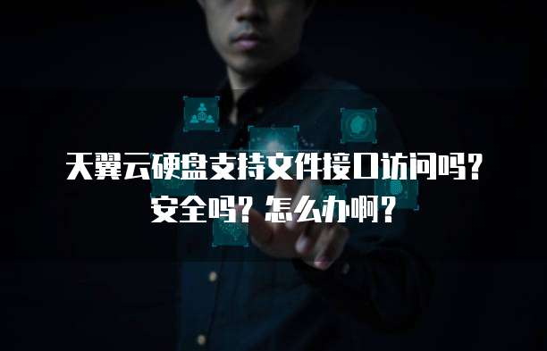 天翼云硬盘支持文件接口访问吗?安全吗?怎么办啊?