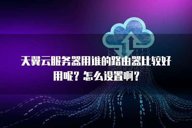 天翼云服务器用谁的路由器比较好用呢？怎么设置啊？
