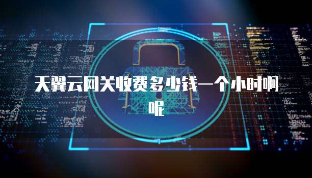天翼云网关收费多少钱一个小时啊呢