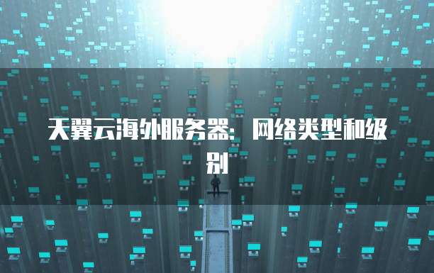 天翼云海外服务器：网络类型和级别