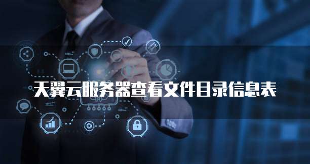 天翼云服务器查看文件目录信息表