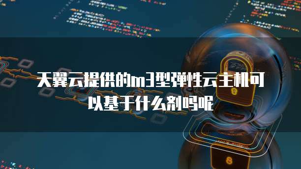 天翼云提供的m3型弹性云主机可以基于什么剂吗呢