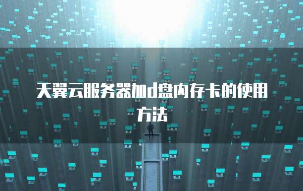 天翼云服务器加d盘内存卡的使用方法