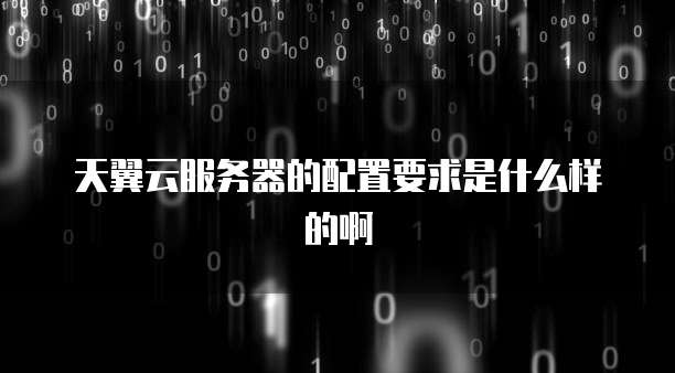 天翼云服务器的配置要求是什么样的啊