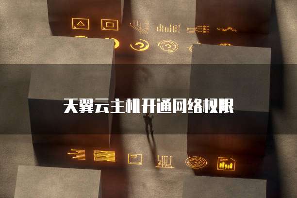 天翼云主机开通网络权限