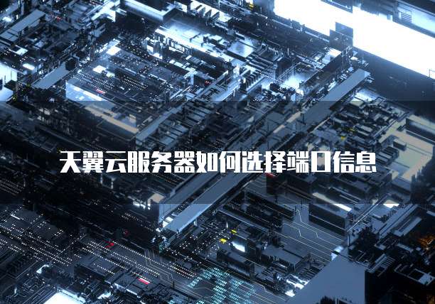 天翼云服务器如何选择端口信息