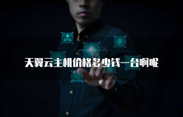 天翼云主机价格多少钱一台啊呢
