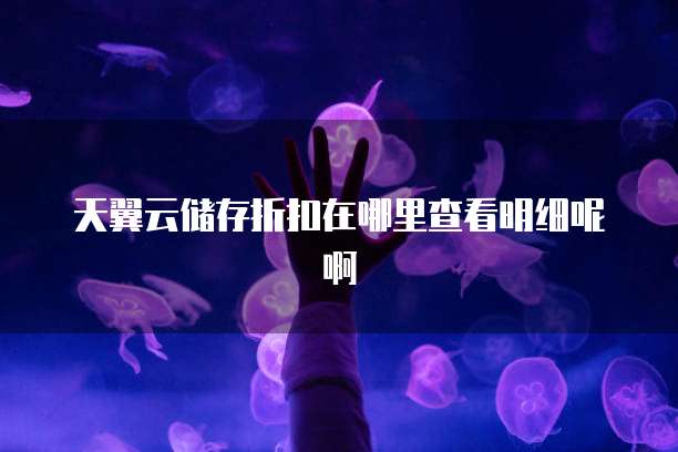 天翼云储存折扣在哪里查看明细呢啊
