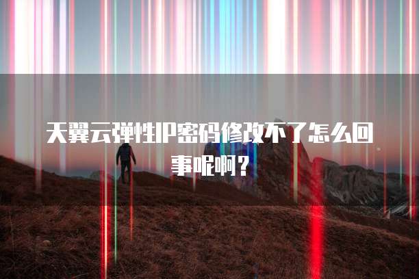 天翼云弹性IP密码修改不了怎么回事呢啊?