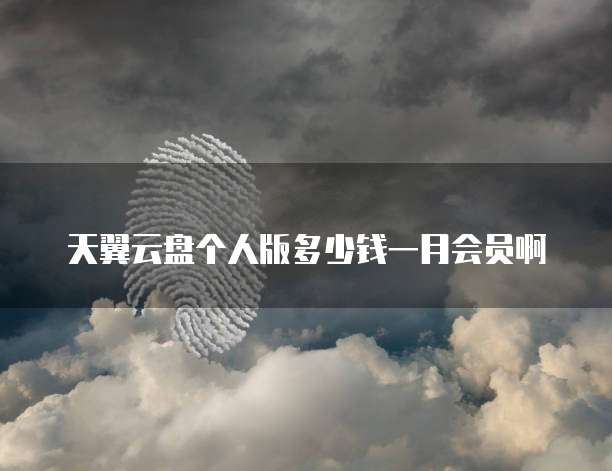 天翼云盘个人版多少钱一月会员啊