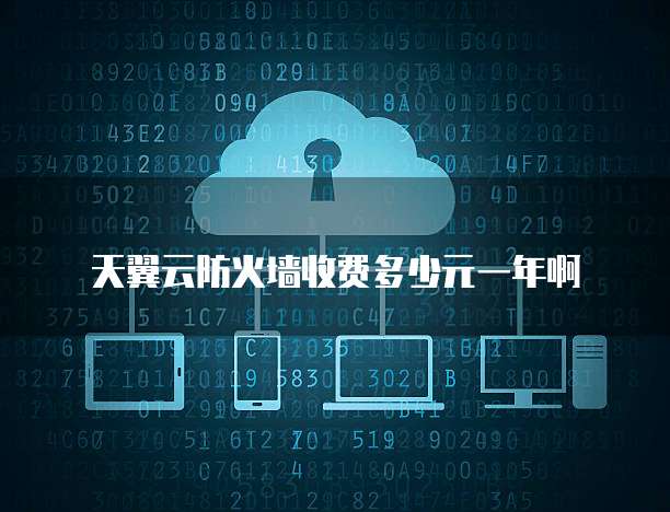 天翼云防火墙收费多少元一年啊