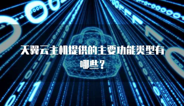 天翼云主机提供的主要功能类型有哪些?