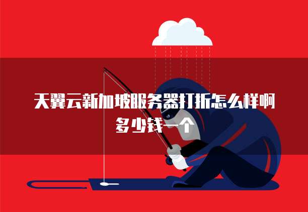 天翼云新加坡服务器打折怎么样啊多少钱一个