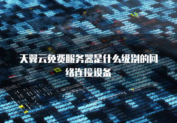 天翼云免费服务器是什么级别的网络连接设备