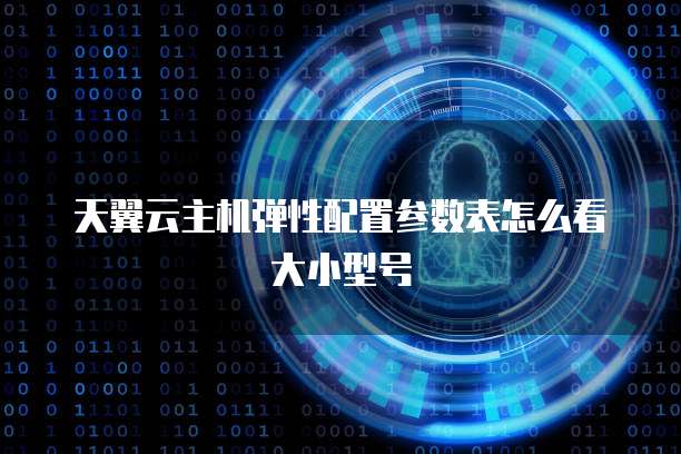 天翼云主机弹性配置参数表怎么看大小型号