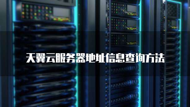 天翼云服务器地址信息查询方法