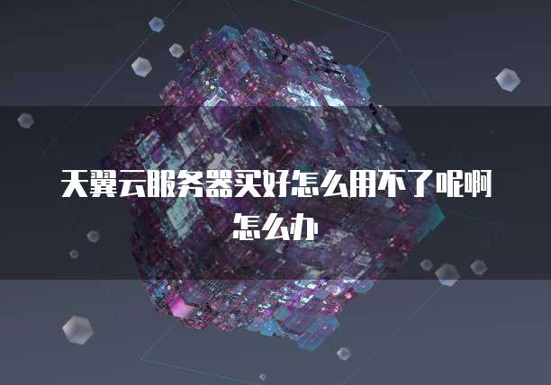 天翼云服务器买好怎么用不了呢啊怎么办