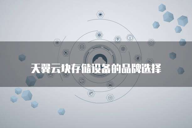 天翼云块存储设备的品牌选择